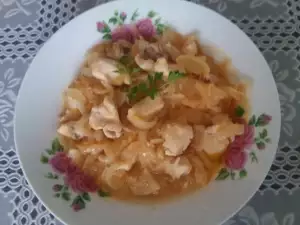 Onion and Chicken Stew