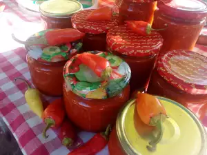 Lazy Village-Style Tomato Chutney