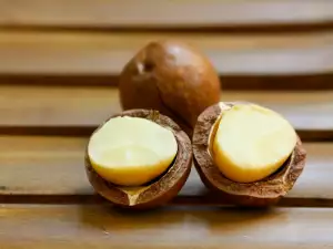 Macadamia Nuts