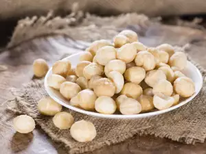 Macadamia Nuts