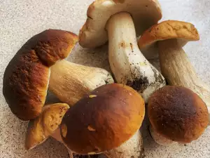 How are Porcini Mushrooms Preserved?