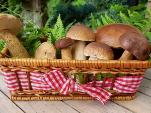 How Are Frozen Porcini Mushrooms Prepared?