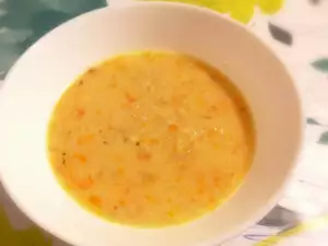 Delicious Turkey Stew for Babies and Children