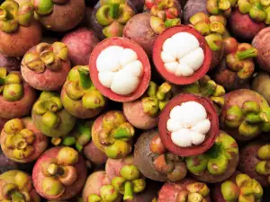 Mangosteen