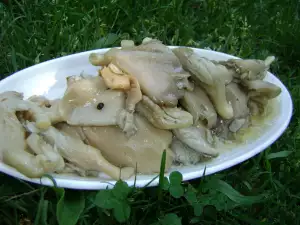 Marinated Oyster Mushrooms