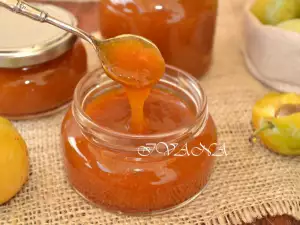 Yellow Plum Marmalade