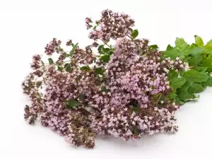 The benefits of thyme