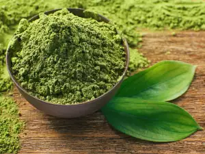 What is Matcha?