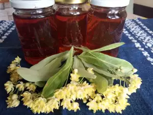 Linden Honey - Healing Properties and Benefits