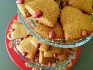 Retro Honey Biscuits with Peanuts and Kefir