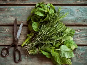 How to Dry Herbs and Spices in the Oven and Microwave