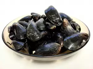 Mussels