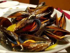 Mussels Natur