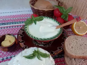 Dairy Mayonnaise with Mustard