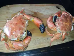 Fresh Sea Crabs