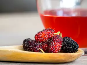 Mulberry Juice - When and What it Helps for