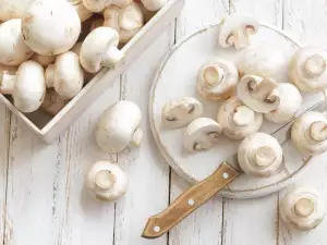 Nutritional Value of Mushrooms