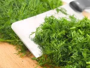 Dill – a cure for many illnesses