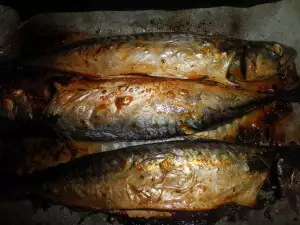 Natural Oven Grilled Mackerel