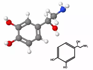 Norepinephrine