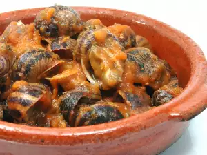 Snail Stew