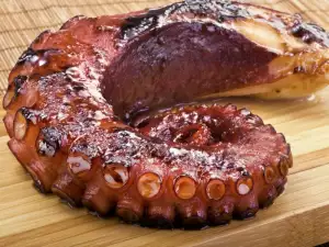 Grilled Octopus