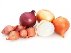 The Different Types of Onions