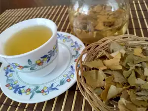 Walnut Leaf Tea