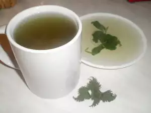 Nettle Decoction for Blood Purification