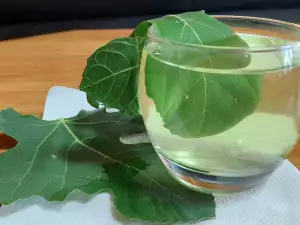 Fig Leaf Decoction