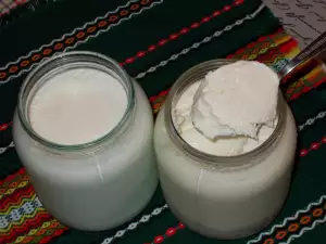 Homemade Sheep Yogurt