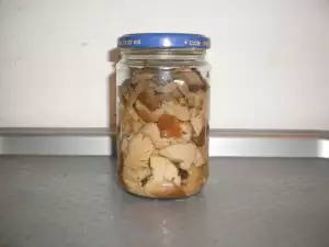 Sterilized Chanterelles