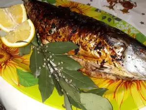 Roasted Bonito with Garlic-Lemon Flavor