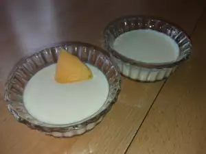 Sugar-Free Melon Panna Cotta