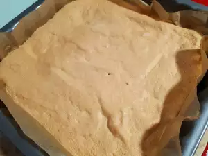 Sponge Cake Layer for a Roll