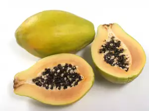 Papaya Tea - a Powerful Weapon Against Cancer