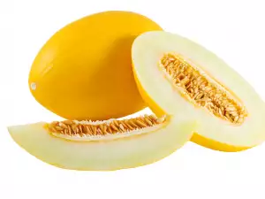 melon