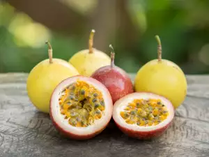 Passion Fruit