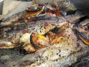 Trout with Tomatoes, Lemons and Spices