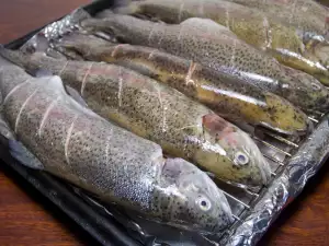 Grilling Trout