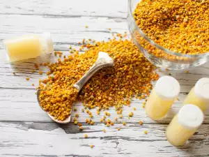 How to Consume Bee Pollen?