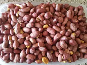 Roasted Peanuts