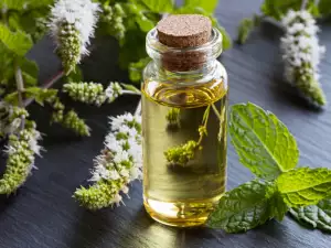 Peppermint Oil - Benefits and Uses