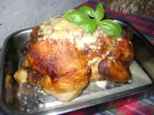 Appetizing Chicken with Parmesan and White Wine