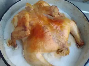 Chicken on Top of Salt in the Oven