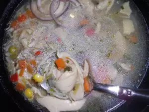 Colorful Chicken Soup