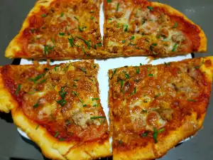 Tuna, Parmesan and Tomato Pizza