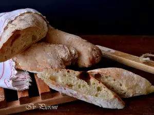 No-Knead Quick Flatbreads