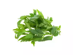 Lovage spice