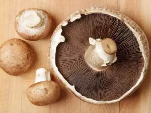 Portobello - The Delicious Mushroom, Which Keeps Our Waistline Slim